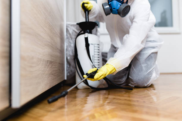 Best Affordable Pest Control Services  in Prince George, VA
