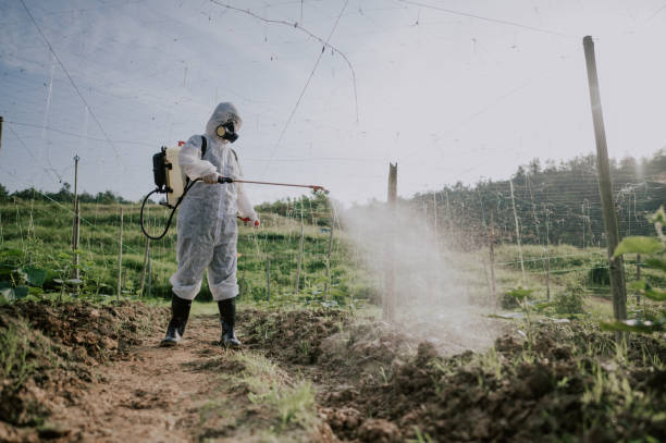 Best Affordable Pest Control Services  in Prince George, VA