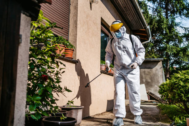 Best Pest Control Near Me  in Prince George, VA