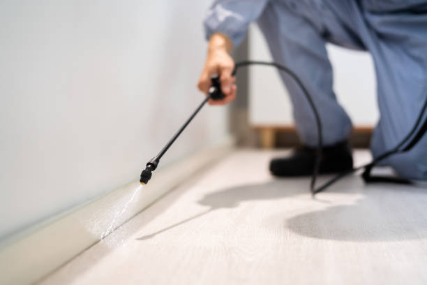 Pest Prevention Services in Prince George, VA