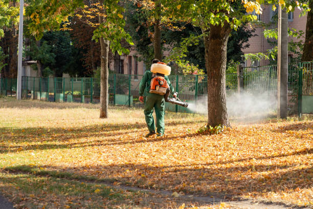 Best Bird Control  in Prince George, VA