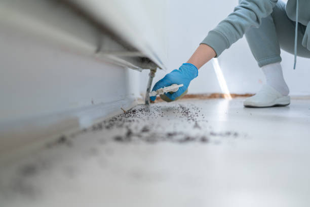 Best Commercial Pest Control Services  in Prince George, VA